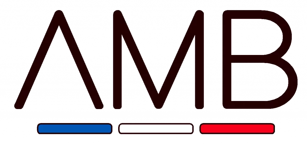 LOGO amb MOUSTIQUAIRES