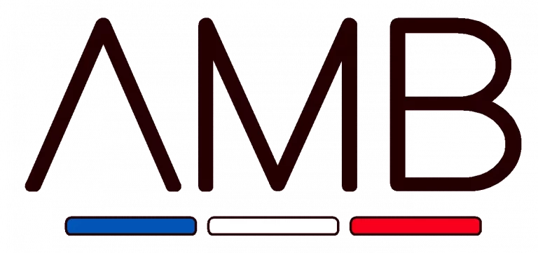 LOGO amb MOUSTIQUAIRES